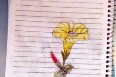 CATEQUESE-ATIVIDADES-AGO-2020-119